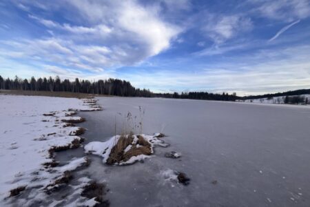 Bayersoiener See