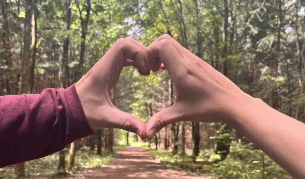 Zwei Hände formen gemeinsam ein Herz vor einem Waldweg – Zeit zu zweit als Paar