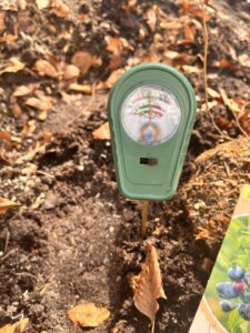 Testen des pH-Wert im Boden mit einem Bodentester