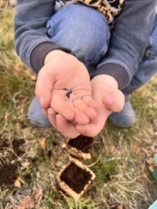 Mit Kindern im Garten arbeiten - Samen säen